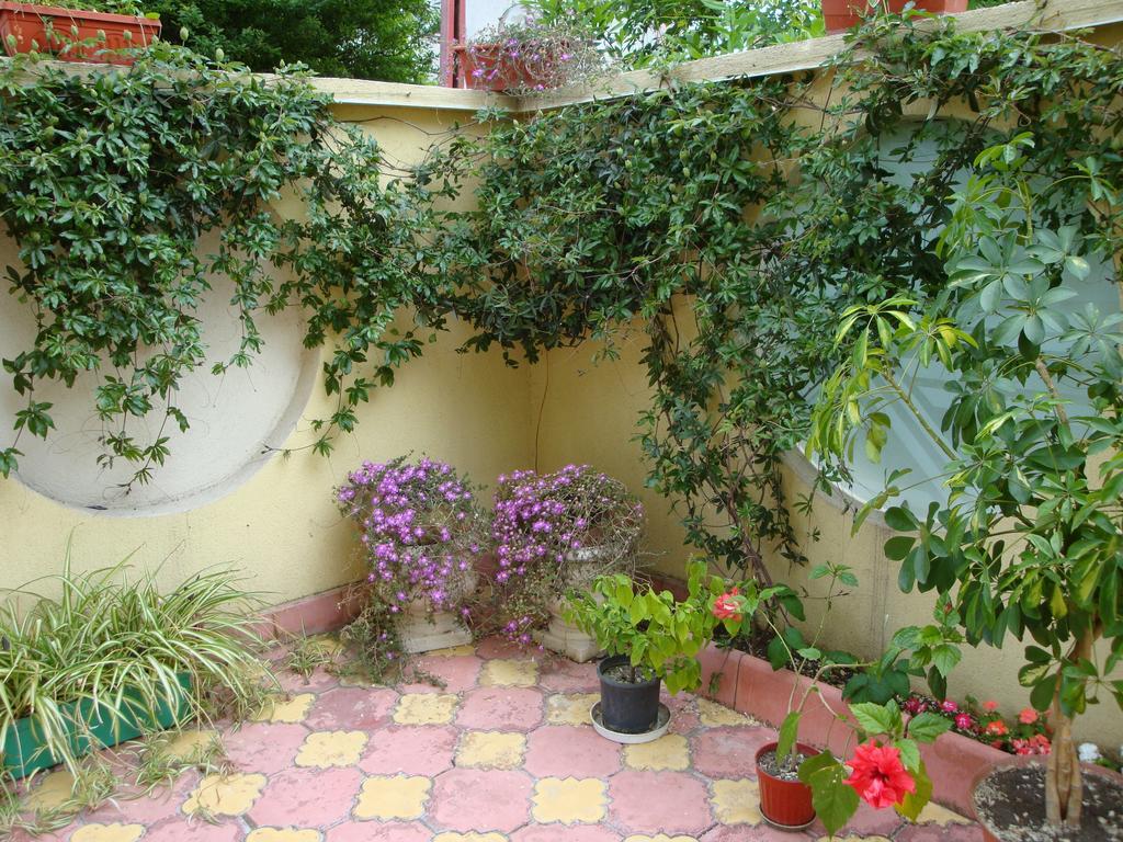 Stela Guest House Царёво Номер фото