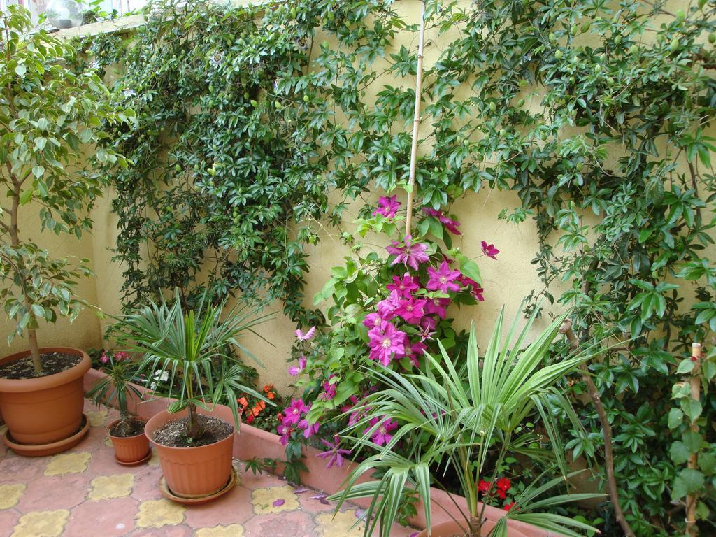 Stela Guest House Царёво Экстерьер фото